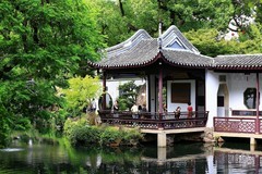 小景随拍（9）