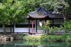 小景随拍（9）