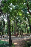 烈士公园【烈士塔】1