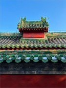 2025年-先农坛风光纪实旅拍-1176