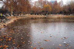 冬日·长安公园