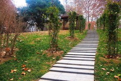 冬日·长安公园