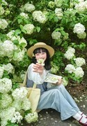 紫凤公园木绣球3