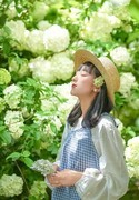 紫凤公园木绣球3