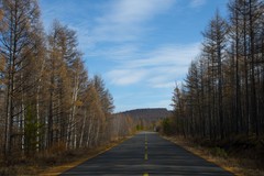 拍照狂魔之最美的风景在路上【15P】