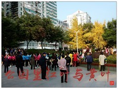 家乡的风景------福建南平公园里的红叶与黄叶