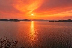 一组杂片拍摄。