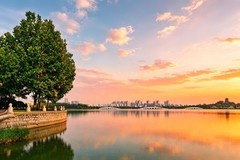 一组杂片拍摄。