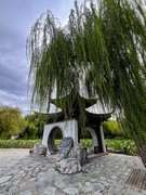 2025年- 陶然亭纪实风光拍-0894