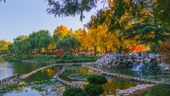 大 连 儿 童 公 园 秋 韵 （ 二 ）