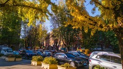 大 连 儿 童 公 园 秋 韵 （ 二 ）