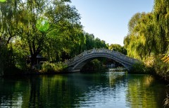 大明湖初冬景色（十二）