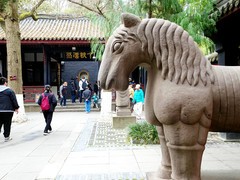 静静地”惠陵“红墙