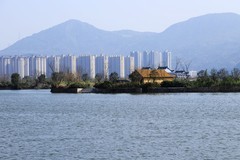 三垟湿地公园 (5)