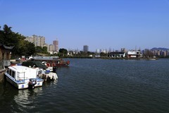 三垟湿地公园 (5)
