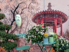 2026年- 陶然亭公园菊花展-0652