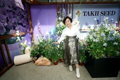 环境人像---世界花园大会展上佳丽！