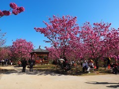 江门新会绿美生态园