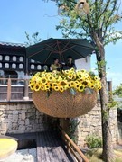 漫步星城 （902）小野坡上的庭院餐厅