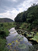 漫步星城 （904）昭山镇七星村