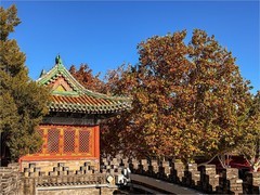 2025年-故宫周边风光纪实旅拍-1178