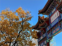 2025年-故宫周边风光纪实旅拍-1178