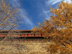 2025年-故宫周边风光纪实旅拍-1178