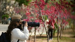 桃花拍客（二）