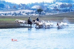 慢门 飞马踏水（14）