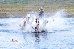 慢门 飞马踏水（14）