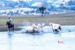 慢门 飞马踏水（14）