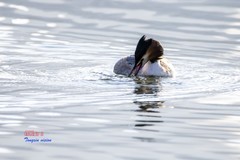 玉龙湖之悦（10）