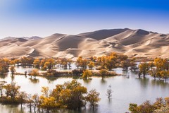 外出随拍（736）.