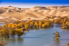 外出随拍（736）.