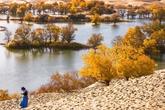 外出随拍（736）.