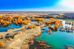 外出随拍（735）.