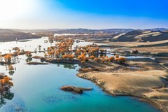 外出随拍（735）.