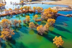 外出随拍（735）.