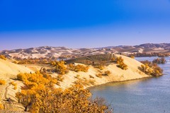 外出随拍（737）.