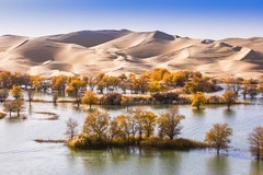 外出随拍（737）.