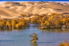 外出随拍（737）.