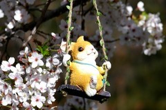 4月1日玉渊潭公园