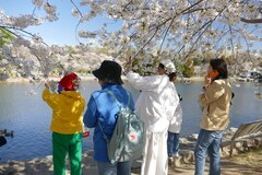 4月1日玉渊潭公园