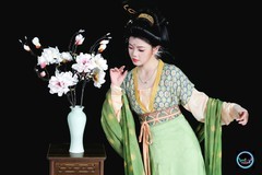 【一枝玉兰衬青罗】---婷儿