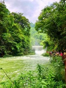 1721【不老松：纪实摄影】山河锦绣“山水之间”(02) 水舞精灵：荔波小七孔！