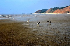 丹东——大鹿岛（5）