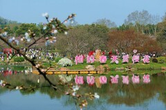 东湖樱花园（十）续完