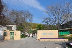 春光明媚（续4）