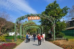 春光明媚（续4）