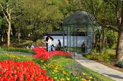 春光明媚（续4）